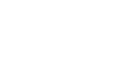 White crown icon